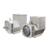 Brush&Brushless Alternator 